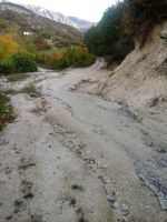 122864510_2875928876016758_6807947926460674751_n